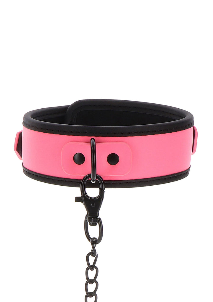 Taboom Collar and Chain Leash 5