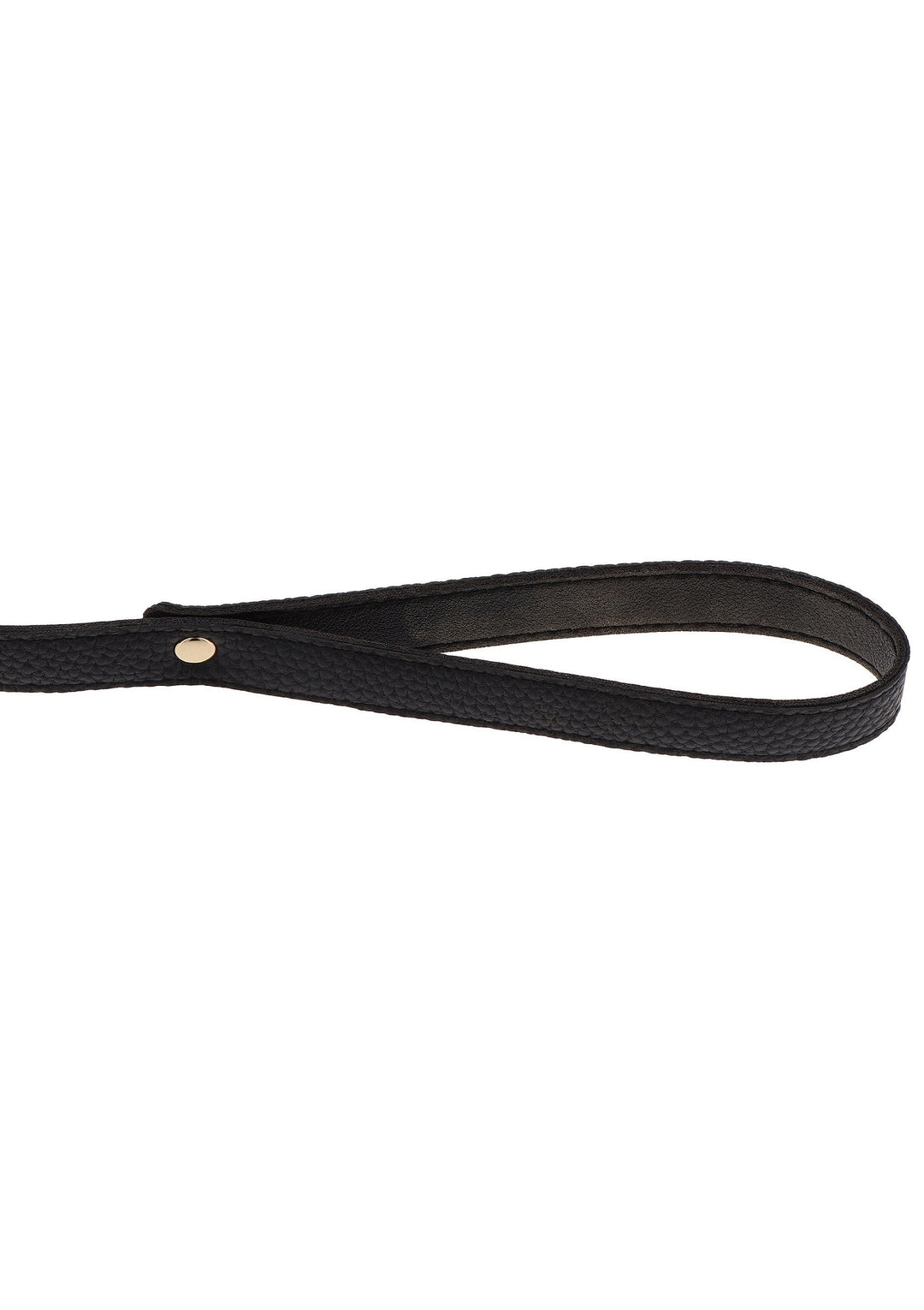 Taboom Statement Leash 10