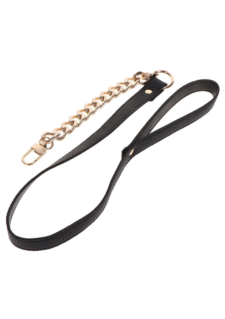 Taboom Statement Collar and leash 8