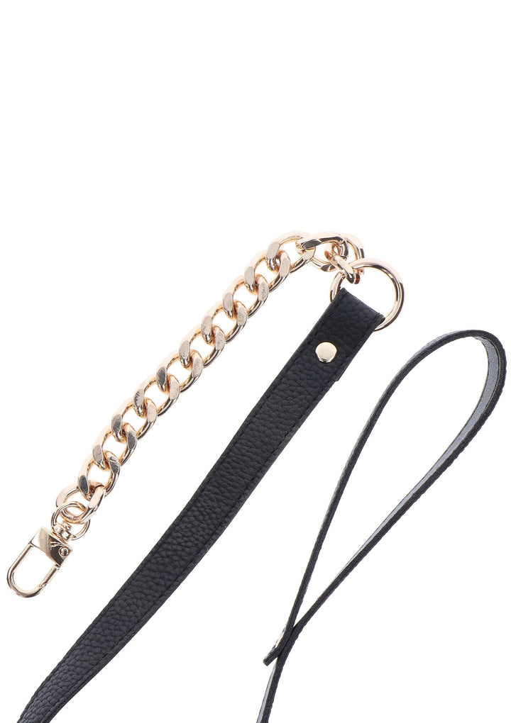 Taboom Statement Collar and leash 10
