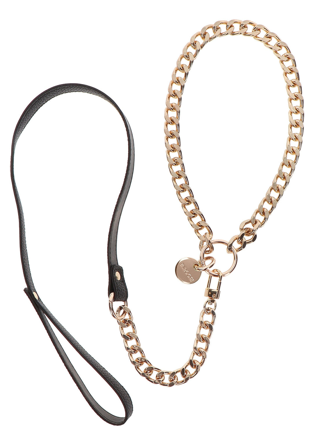 Taboom Statement Collar and leash 13