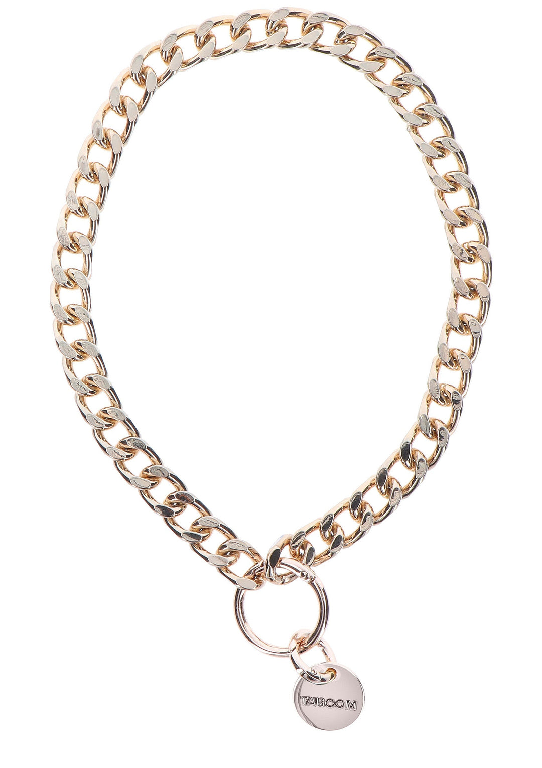 Taboom Statement Collar and leash 2