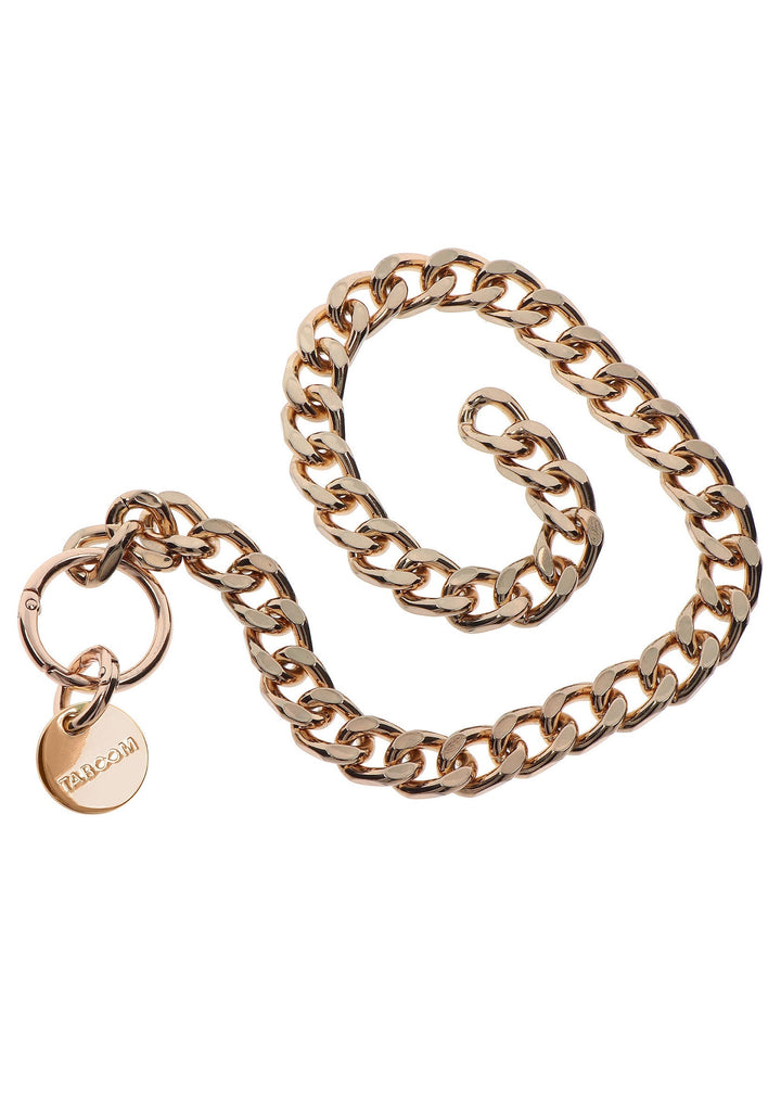 Taboom Statement Collar and leash 4