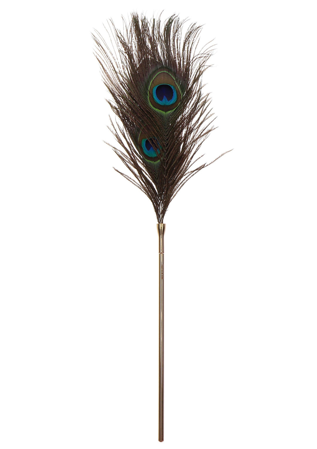 Taboom Peacock Tickler 4