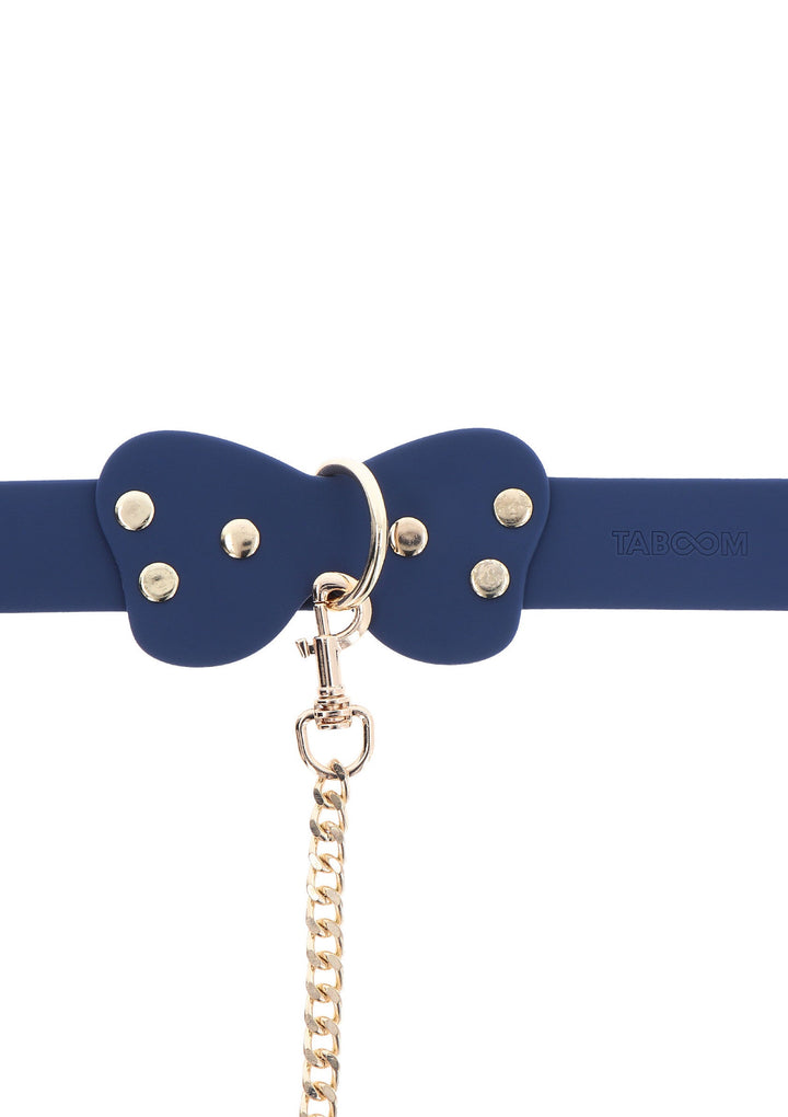 Taboom Silicone Collar and Leash 7