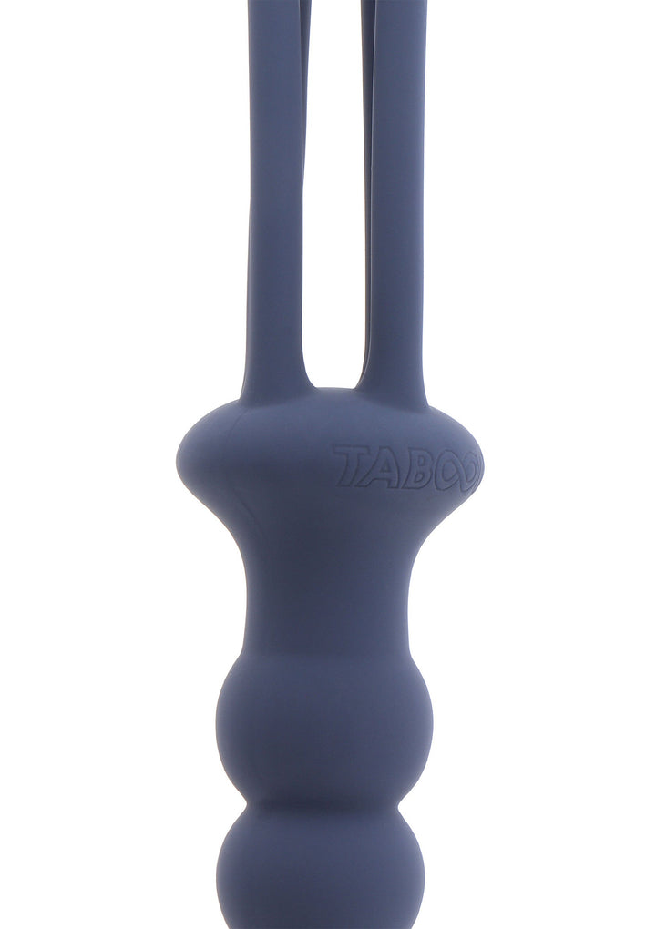 Taboom Silicone Whip and Plug 2
