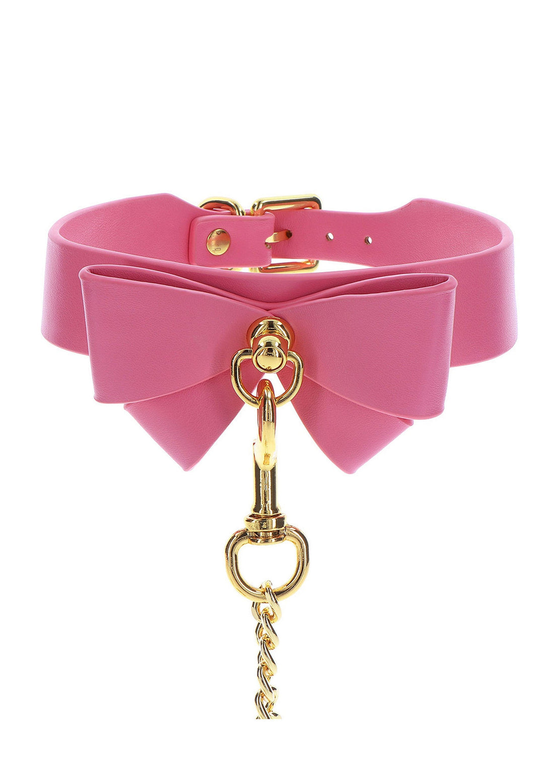 Taboom Collar and Leash 6