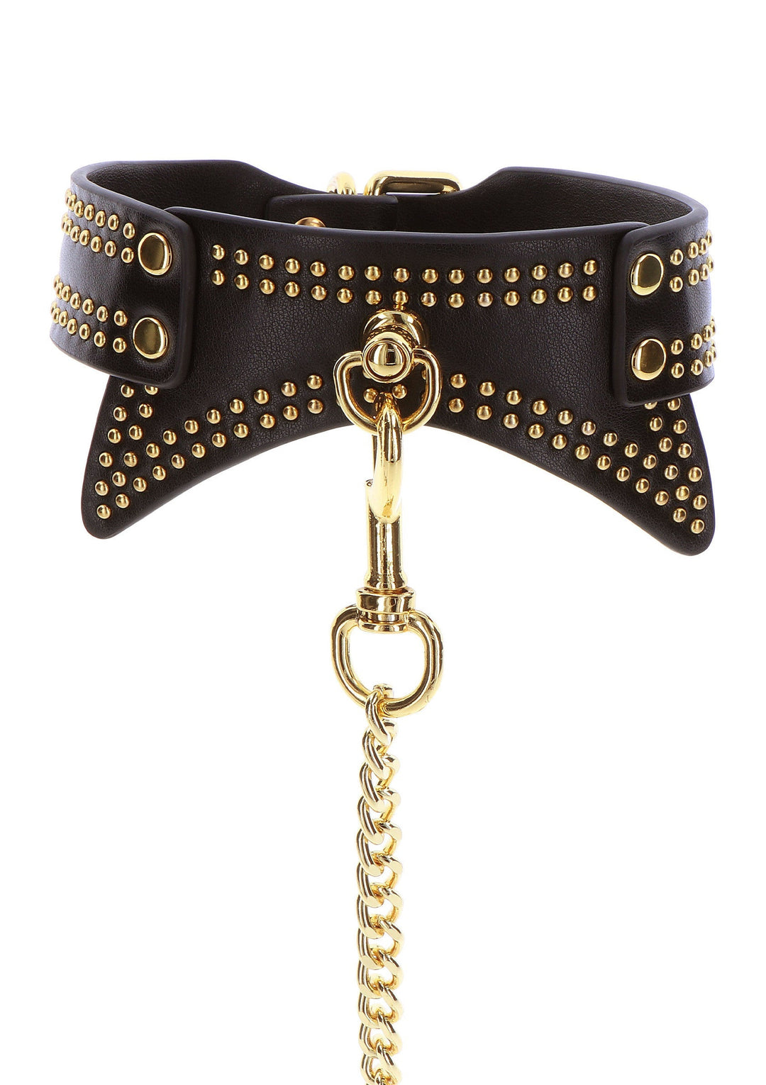 Taboom Studded Collar and Leash 6