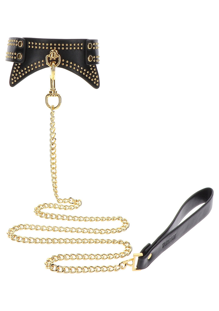 Taboom Studded Collar and Leash 5