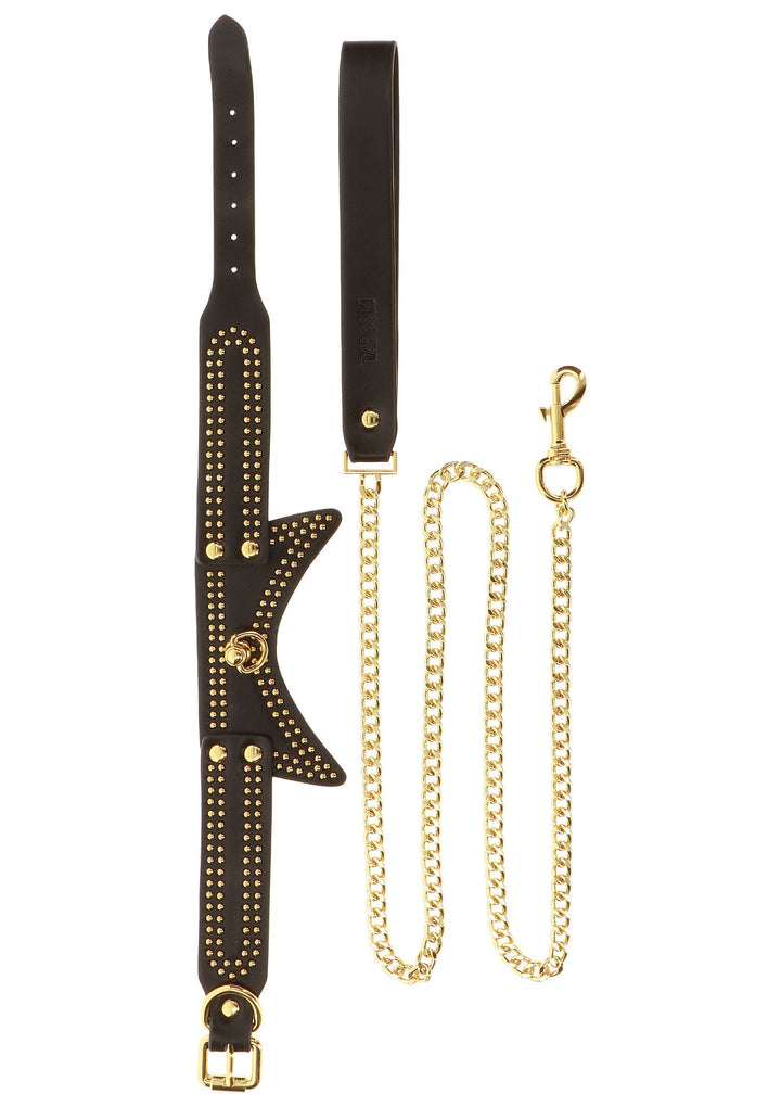 Taboom Studded Collar and Leash 10