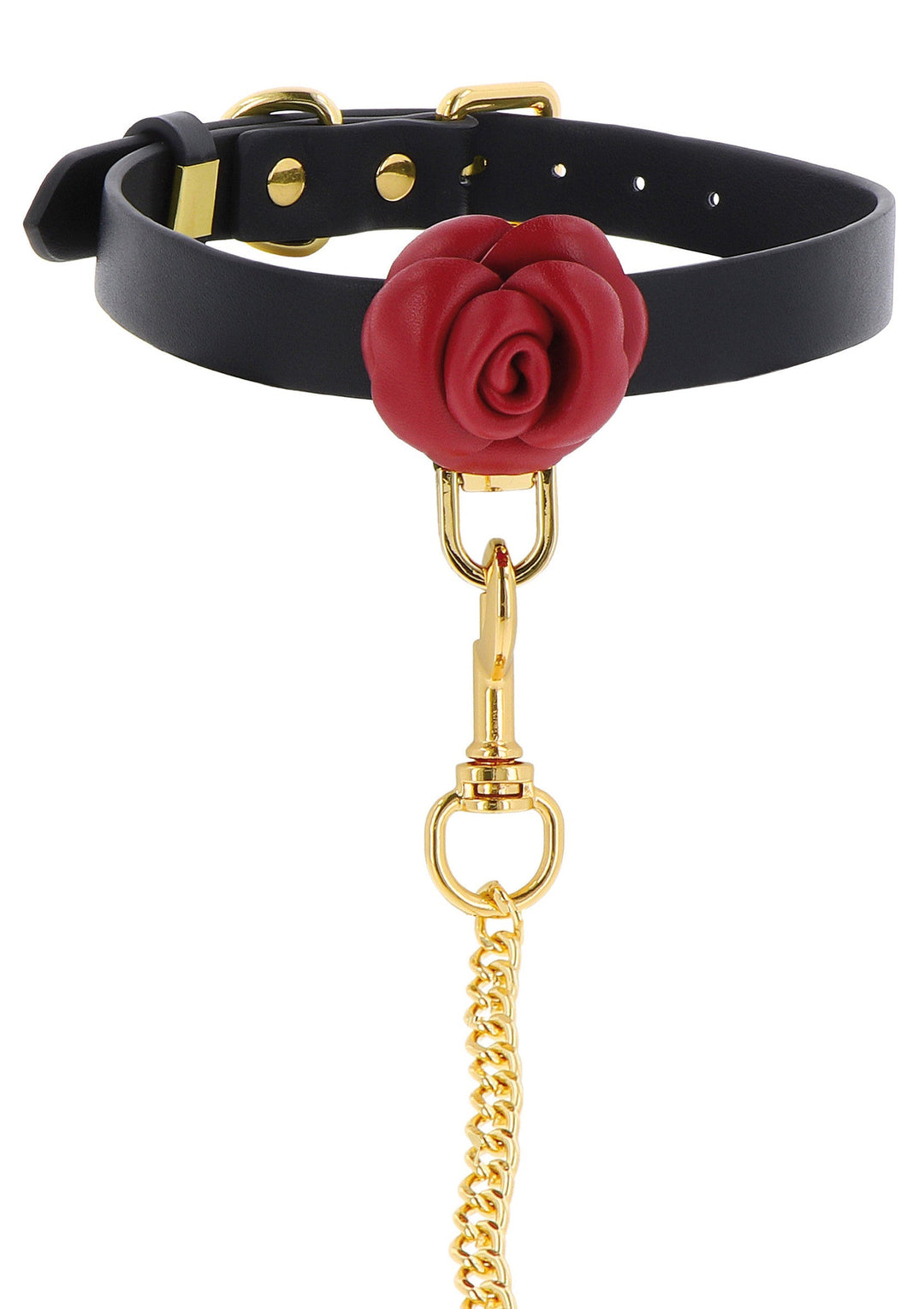 Taboom Wild Roses Collar & Leash 5