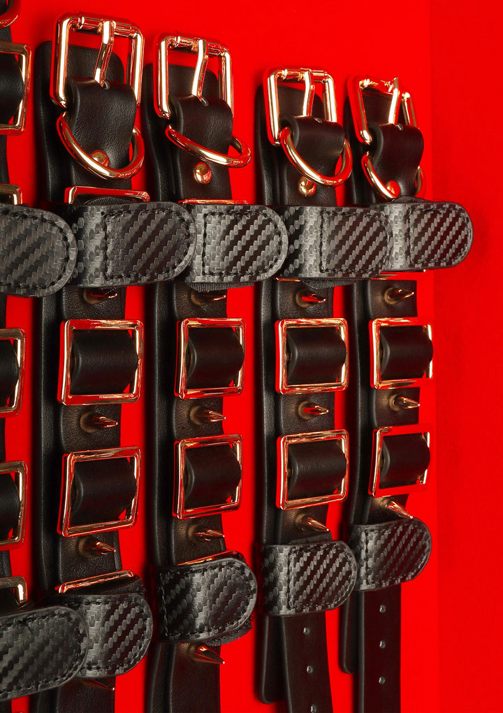 Taboom Desires Masterpiece Case 11