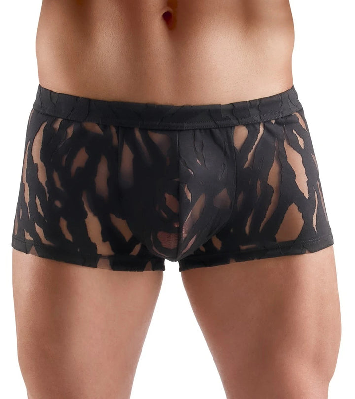 Svenjoyment Herren-Pants in Schwarz, transparenter Ausbrenner-Spitze, figurbetonter Trunk-Schnitt, verführerisch und elegant