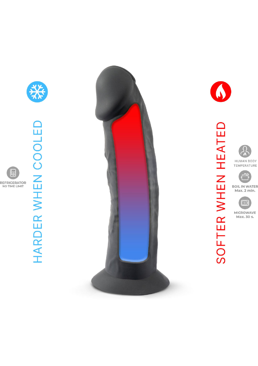 Silex-D Dong Model 7.5 inch 5