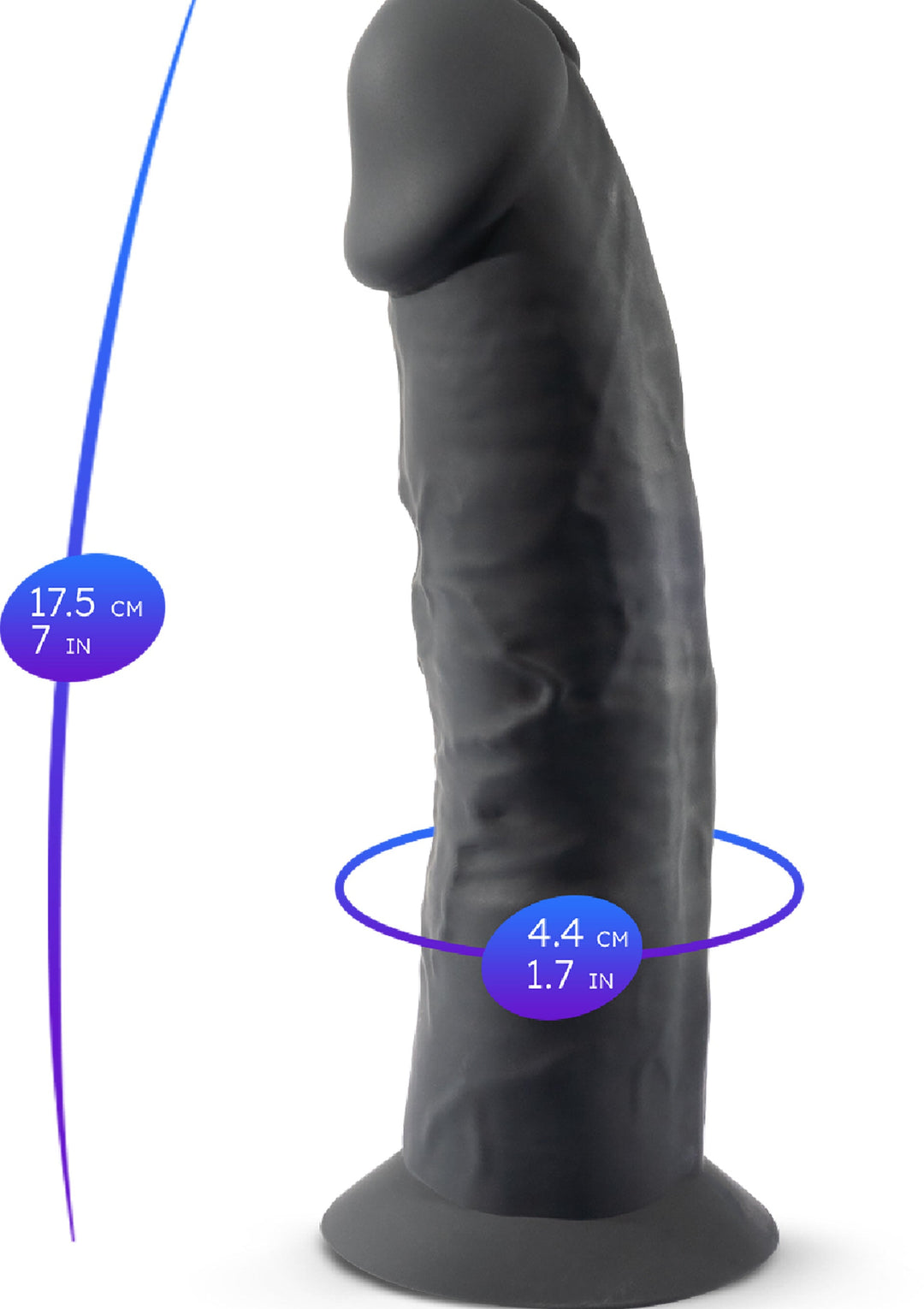 Silex-D Dong Model 7.5 inch 6