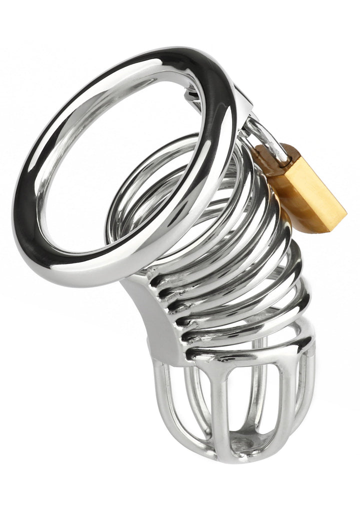 Mr. Steel Ring Master Chastity Device 4