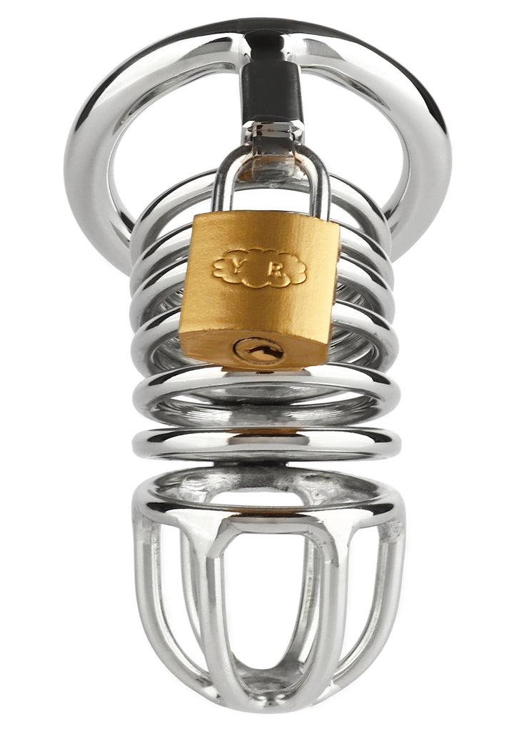 Mr. Steel Ring Master Chastity Device 5