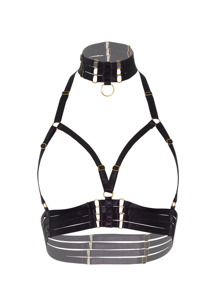 Kinky Diva Open Cup Bra Plus O-Ring Collar 5