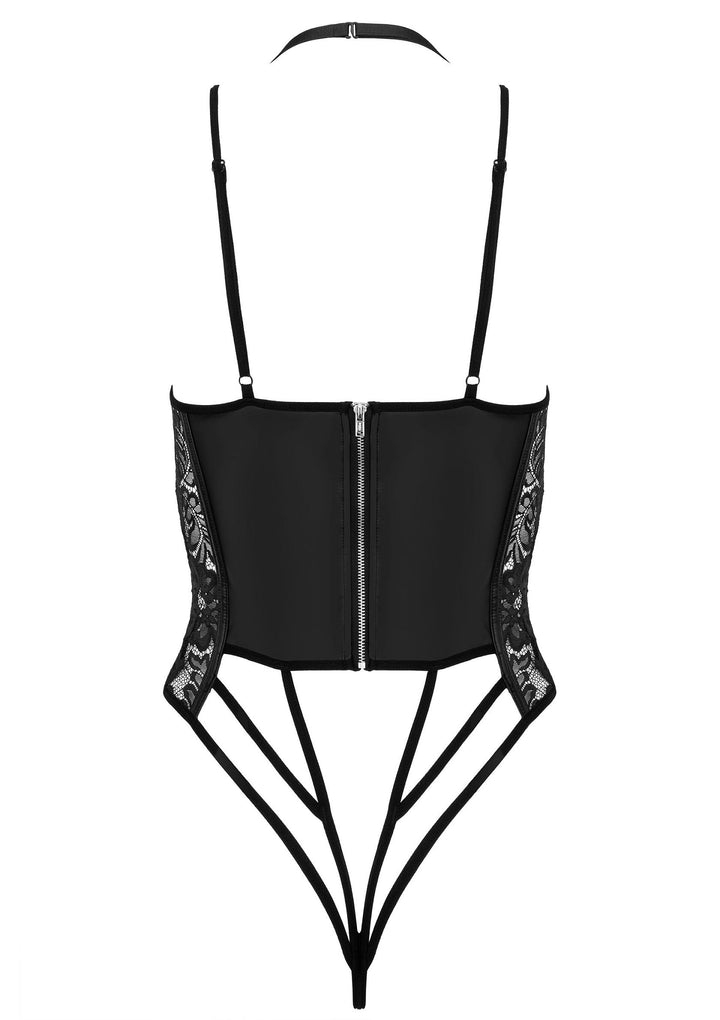 Kotek Celadine body 5