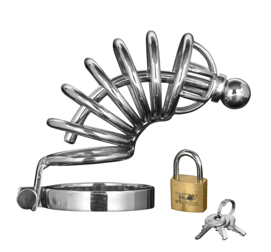 Master Series - Peniskäfig Edelstahl 6 Ringe abnehmbarer Plug Schloss 15,2cm – Asylum Master Series M/L