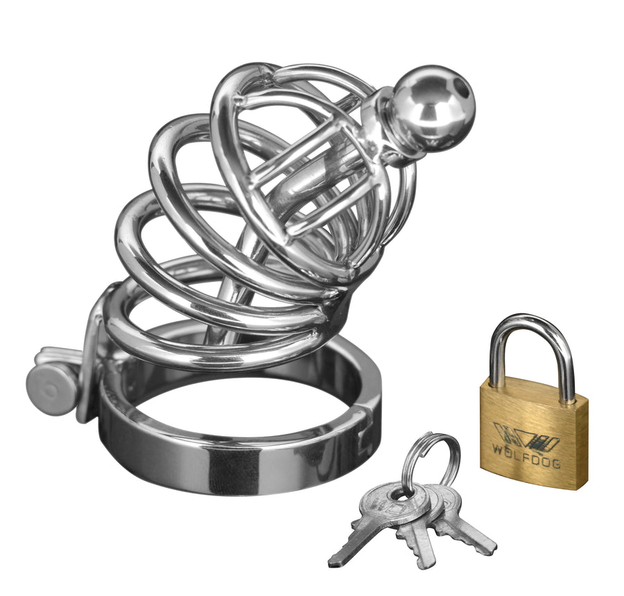 Master Series - Peniskäfig Edelstahl 4 Ringe abnehmbarer Plug Schloss – Asylum Master Series S/M