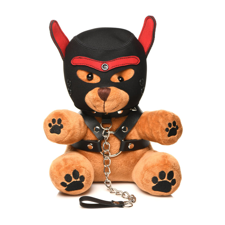 Master Series - Puppy Bär