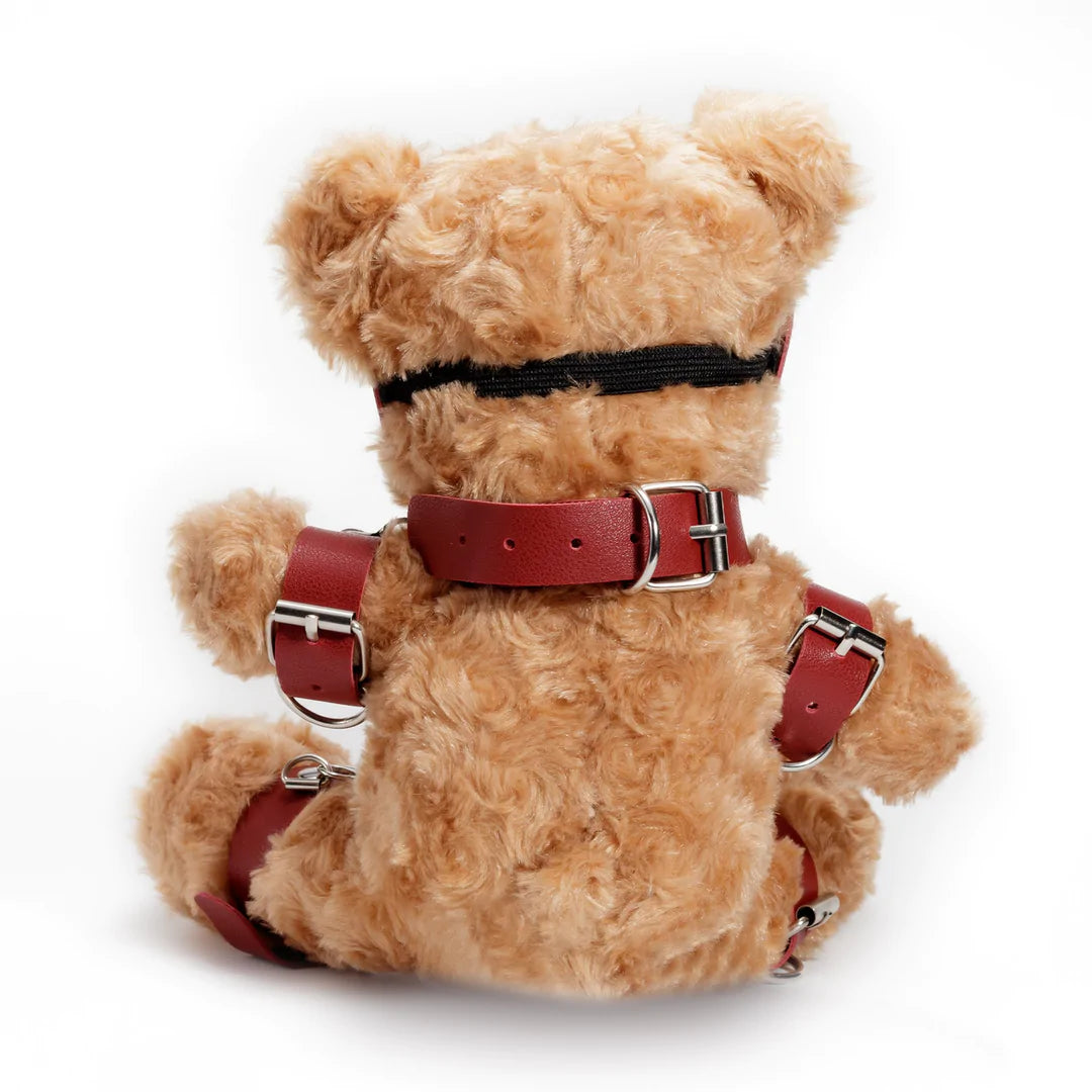 Crushito Bondage Teddy Bear Rot 31cm - BDSM Plüschbär mit Harness, Maske und Ketten von Crushious