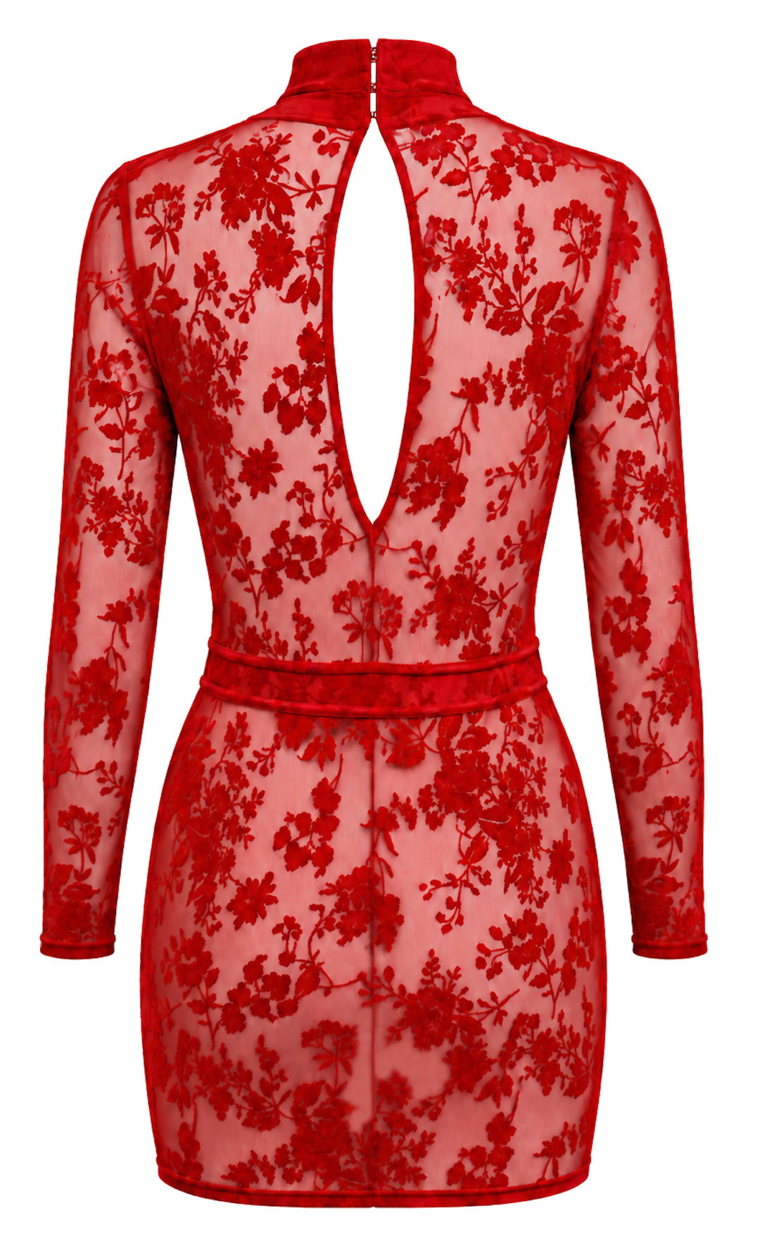 Noir Handmade F415 Lovebite Minikleid – Roter Flocked Tüll, tiefer V-Ausschnitt, Stehkragen & Langarm