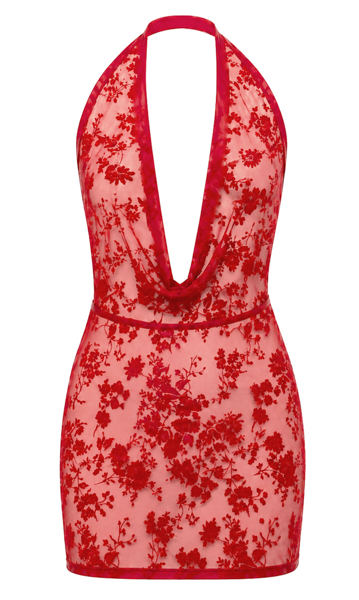 Noir Handmade F419 Plaything Minikleid – Roter Flocked Tüll, Cowl-Neck & offener Rücken