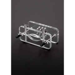 Shots Steel - Hodenpresse mit Spikes aus Acrylglas