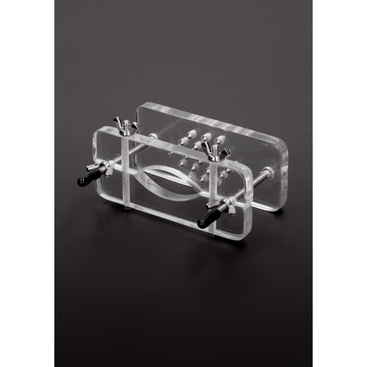 Shots Steel - Hodenpresse mit Spikes aus Acrylglas