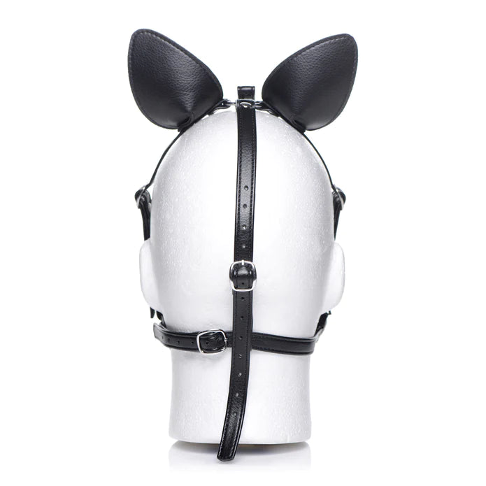 Master Series - Dark Horse Pony Kopfharness schwarz